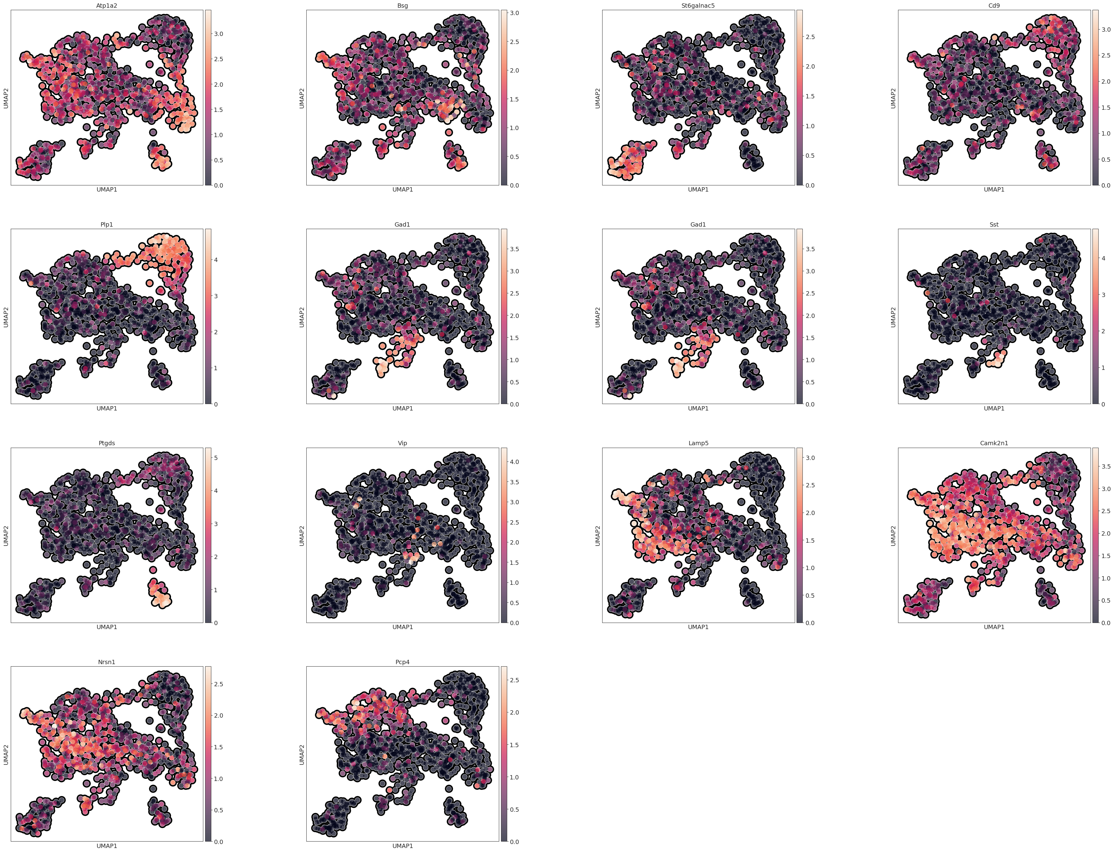 ../_images/scanpy_pysodb_scanpy_STARmap_20_0.png
